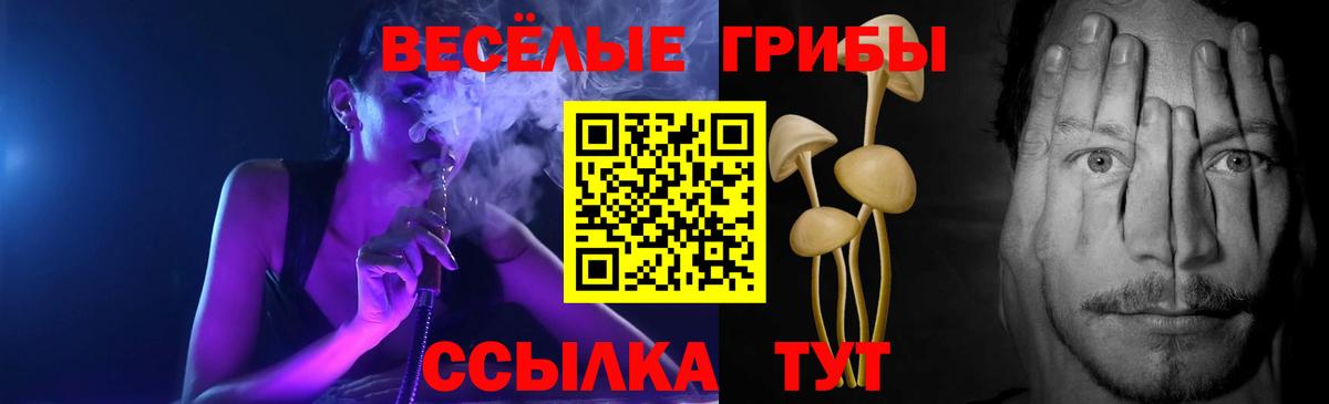Вологда  наркотики  Вход с VPN  Галлюциногенные грибы MAGIC MUSHROOMS 